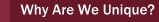 Why Are We Unique?